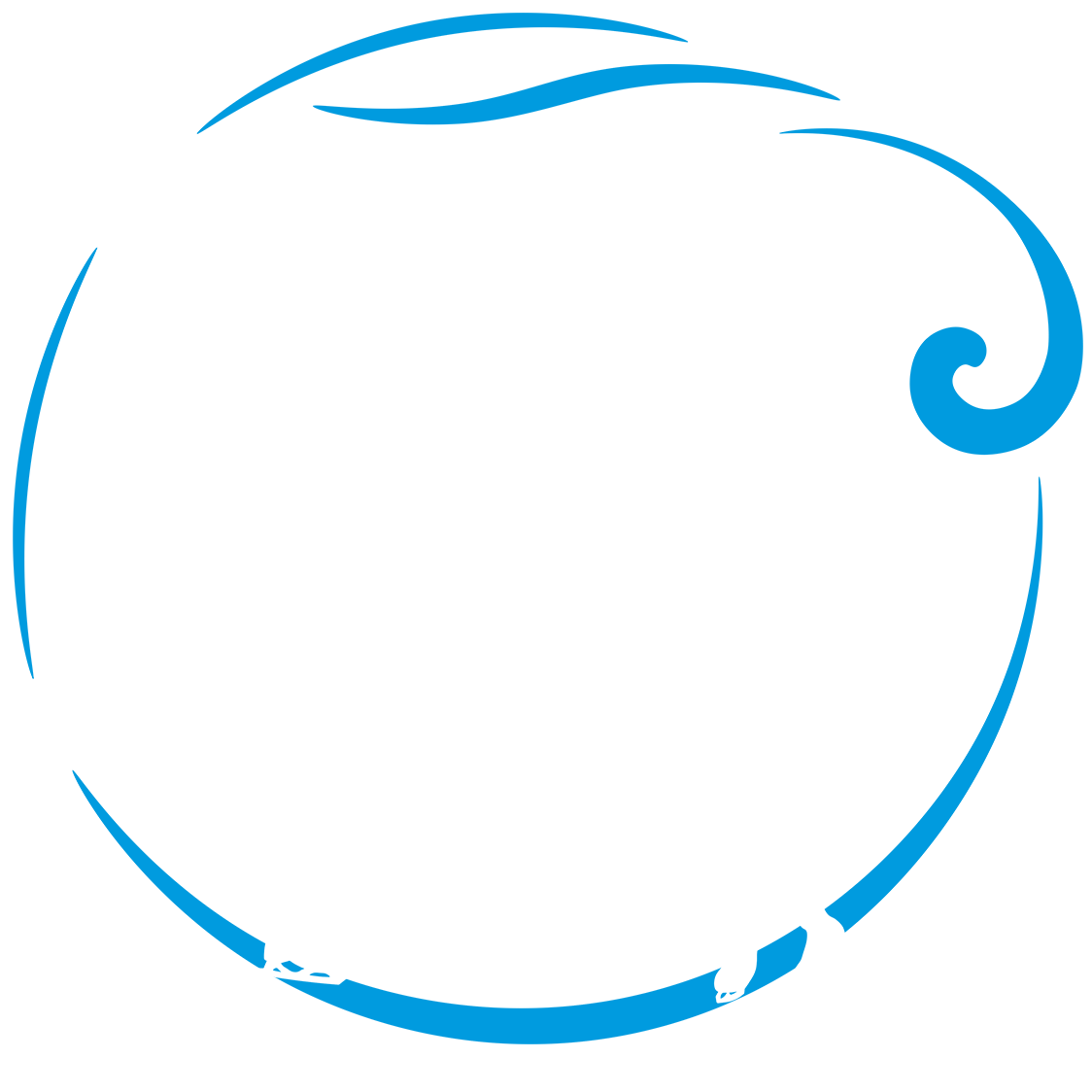 Wellington Figure Skating Club